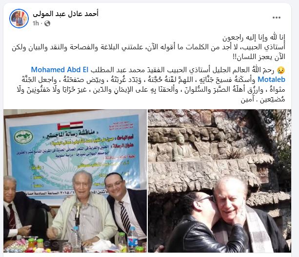 أحمد عادل عبد المولى