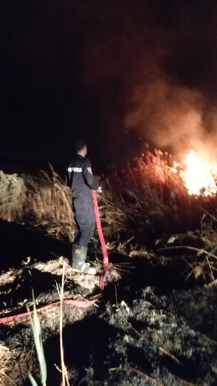 قوات الحماية المدنية قوات الحماية المدنية