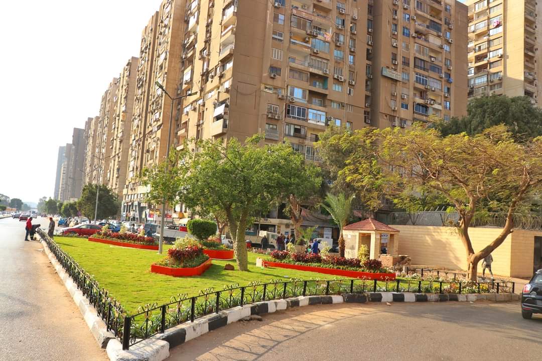 تشجير شوارع القاهرة (5)