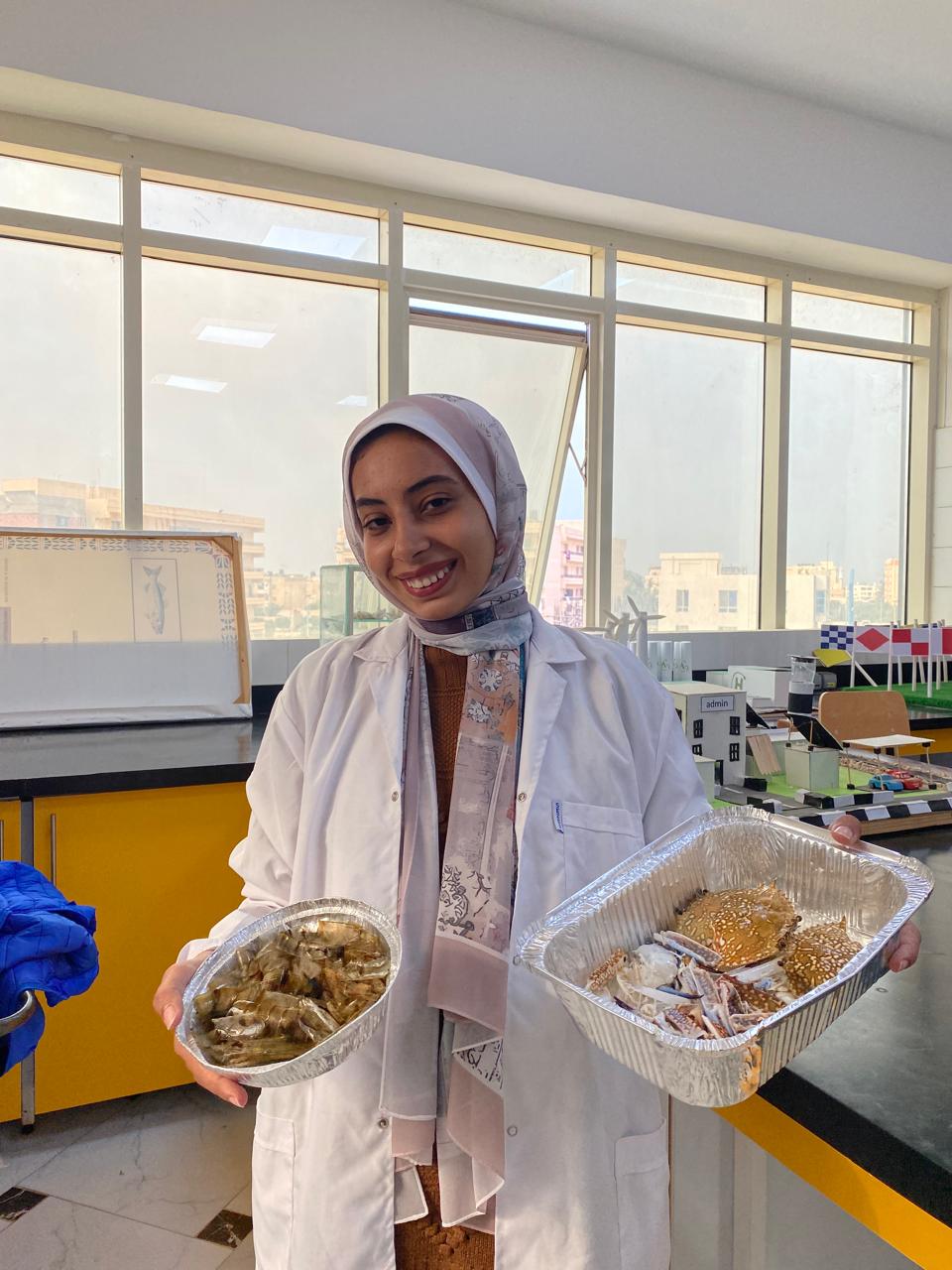 أثناء عمليات تحليل العينات