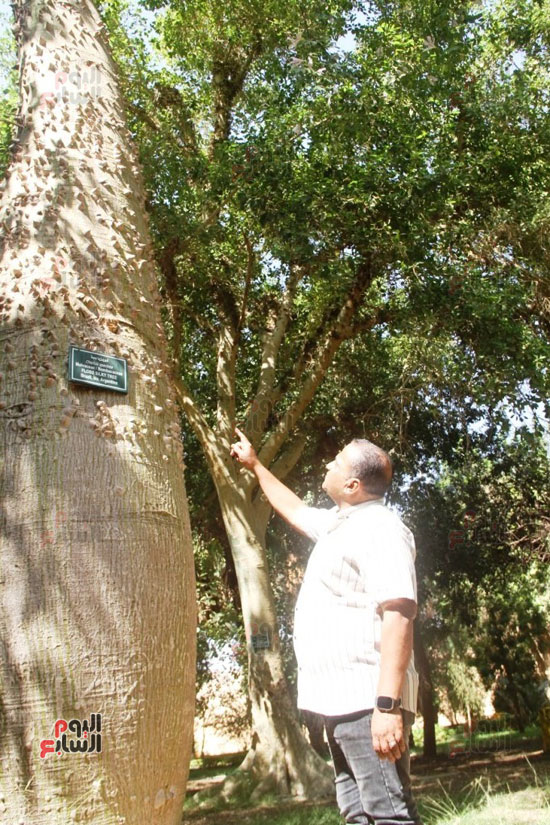 مدير-الحديقة-النباتية