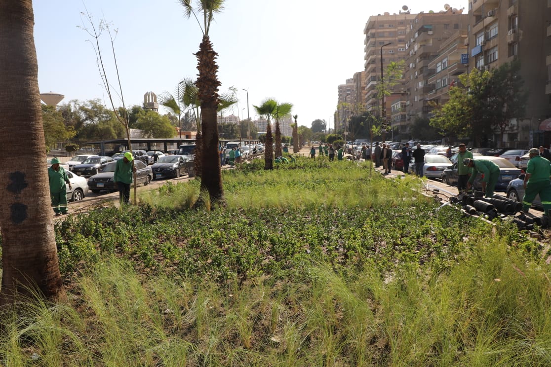 نموذج التشجير