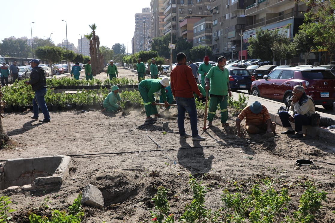 تشجير الشوارع  (1)