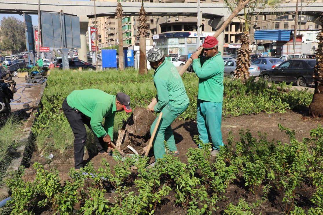 تشجير الشوارع  (2)
