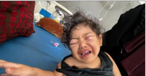 الطفلة حنان القصاص