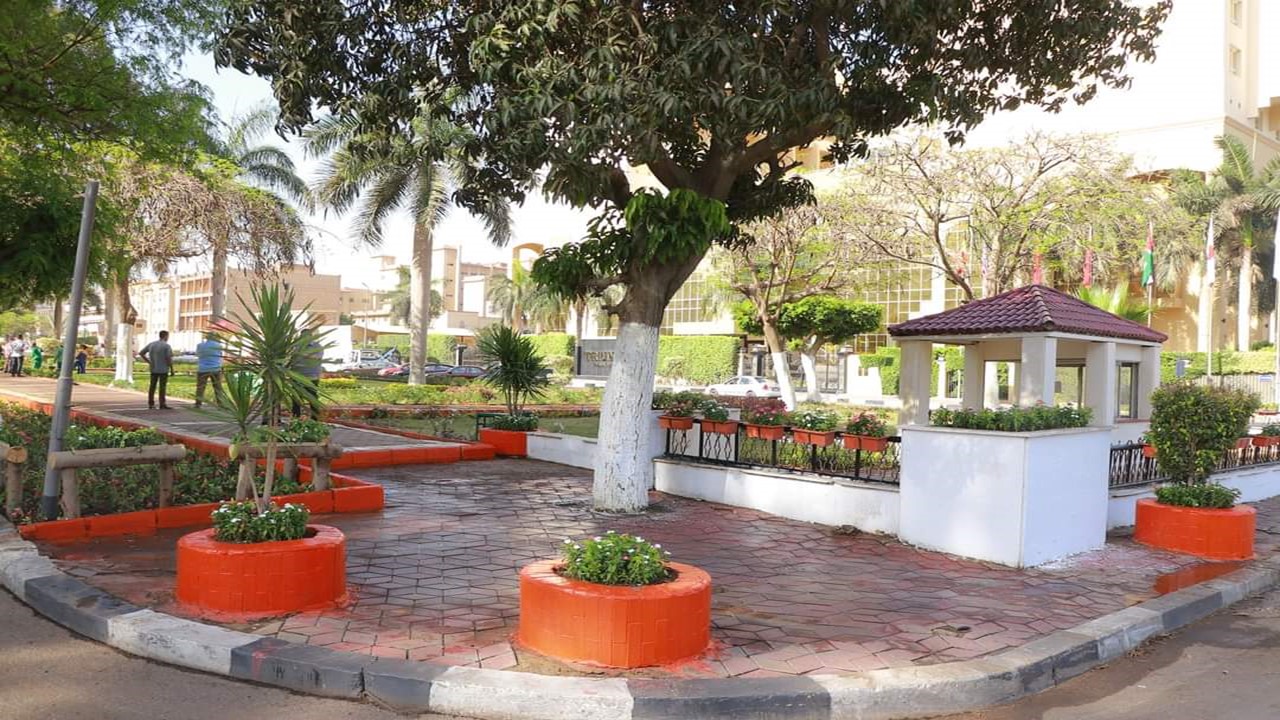 تشجير شوارع القاهرة (1)