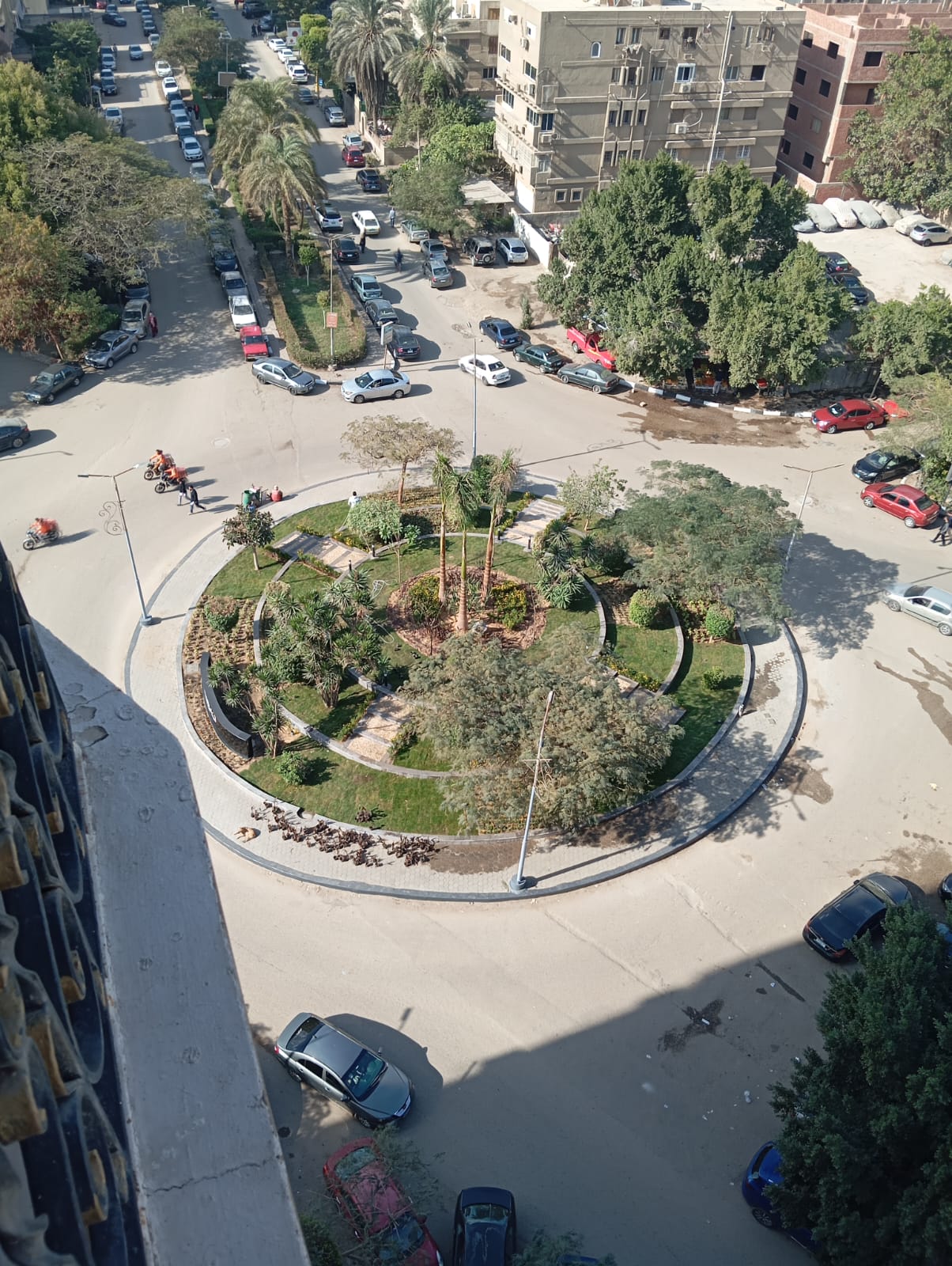 ميدان فلسطين بالمعادي (1)