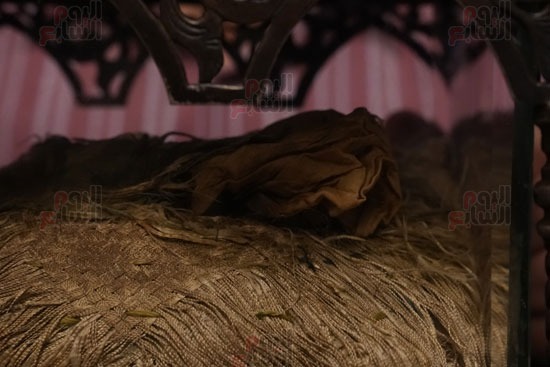 القميص القميص