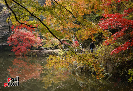 زوار الحدائق زوار الحدائق