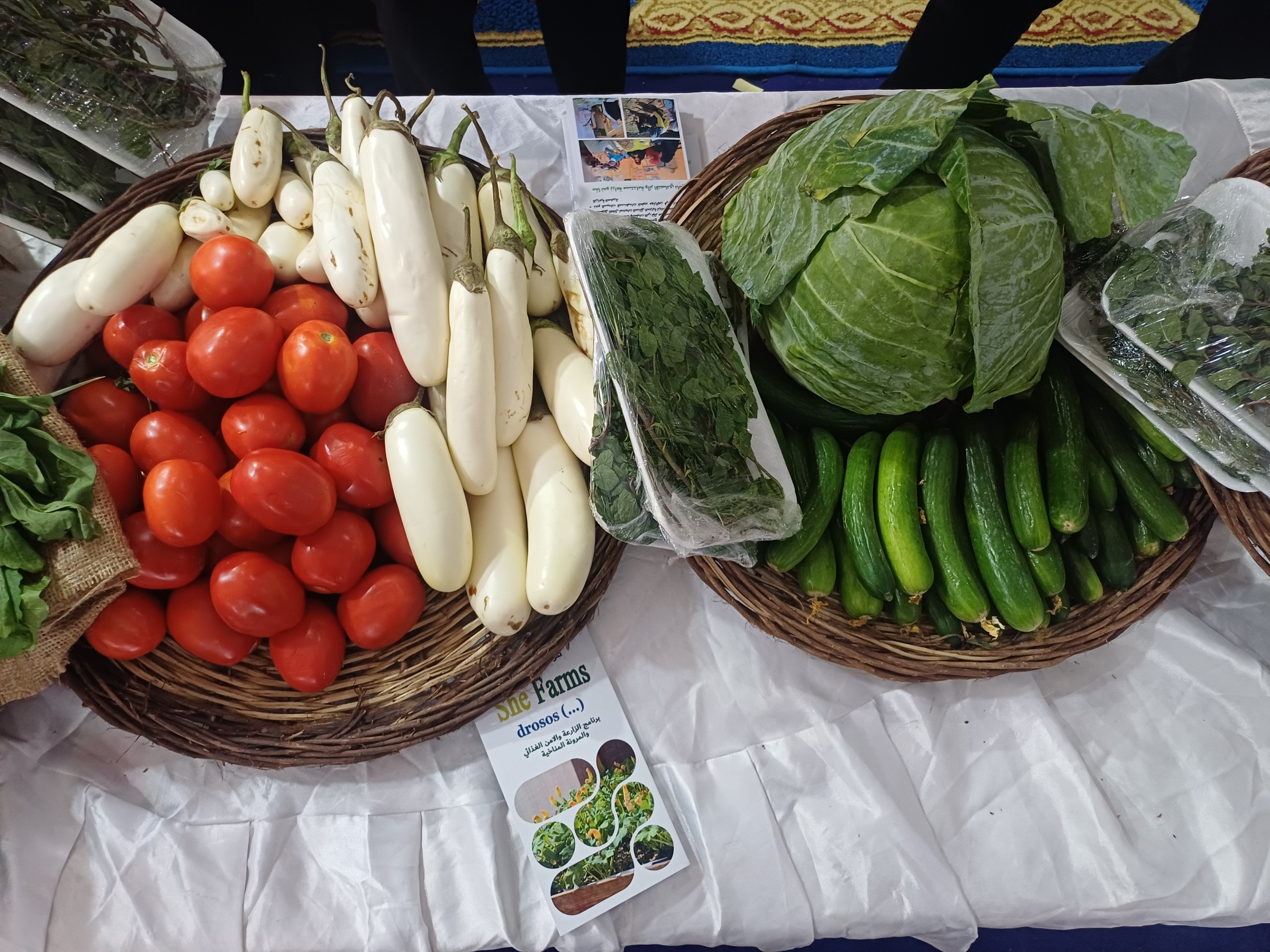 خضار أورجنيك خضار أورجنيك