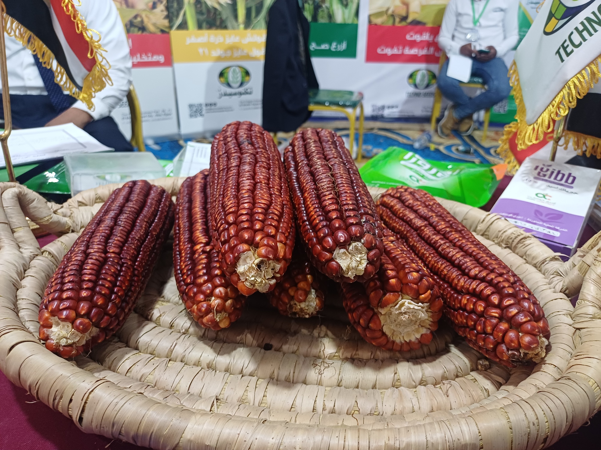 ذرة أحمر ذرة أحمر