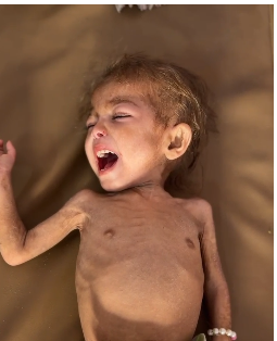 أرجوان الدهيني