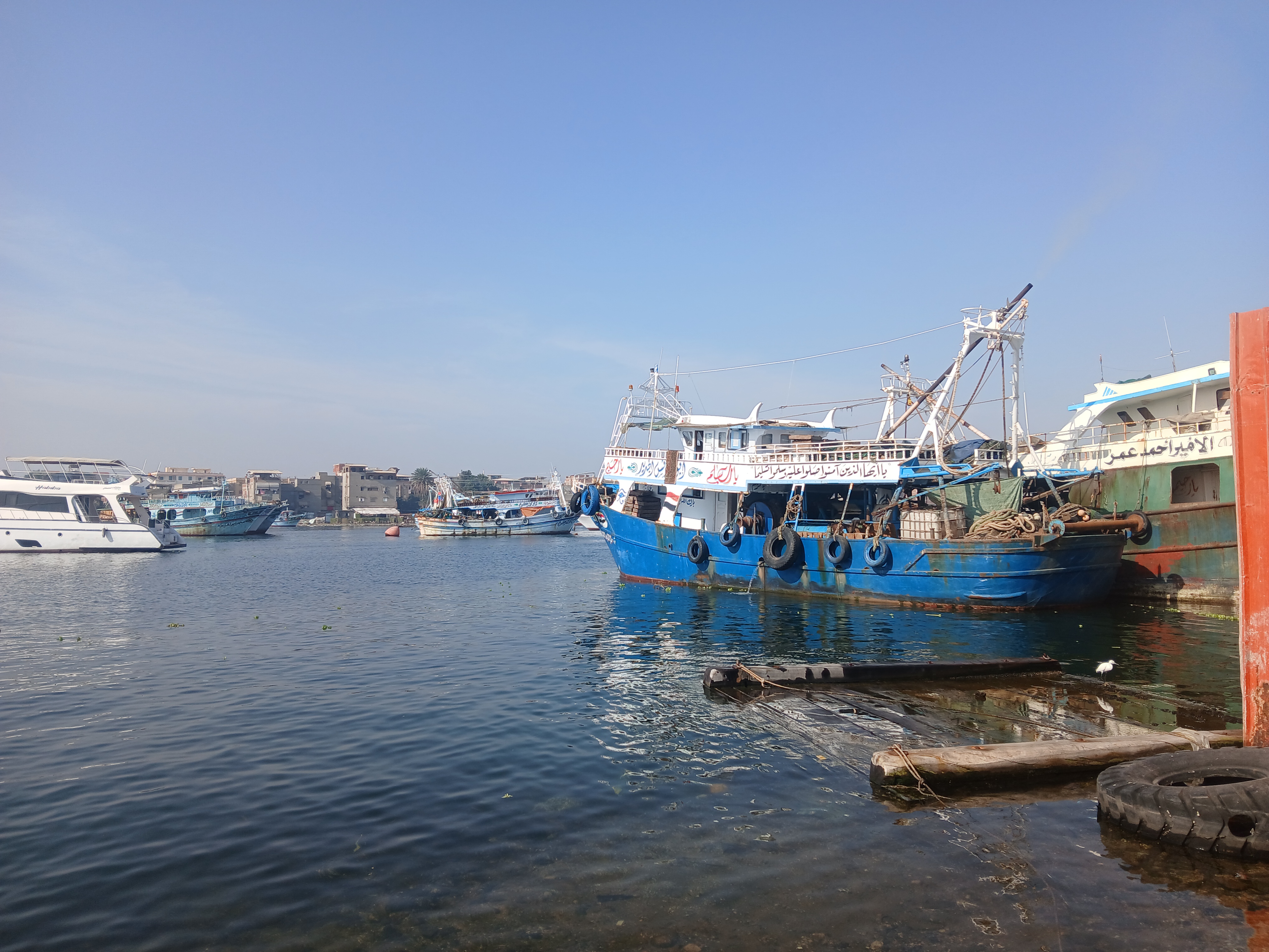 1000368068 1000368068