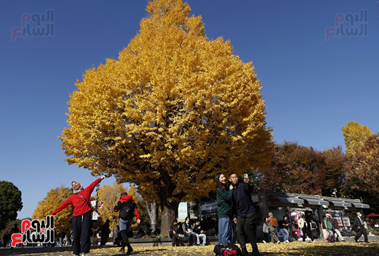 التقاط الصور التذكارية وسط الطبيعة التقاط الصور التذكارية وسط الطبيعة