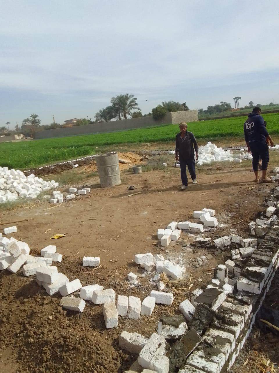 ازالات فى المهد ازالات فى المهد