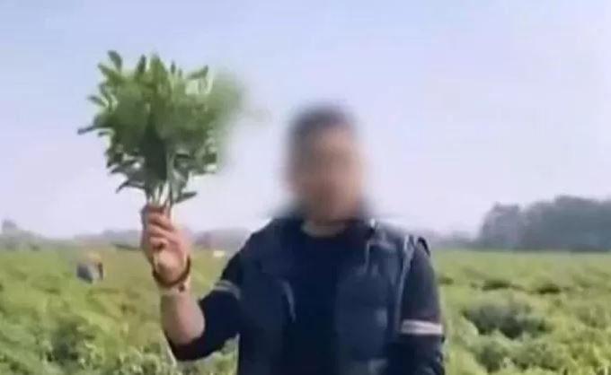 فيديو يتسبب فى أزمة فى الصين