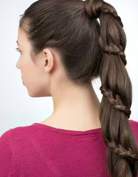 ذيل حصان ملفوف بالضفيرة ذيل حصان ملفوف بالضفيرة