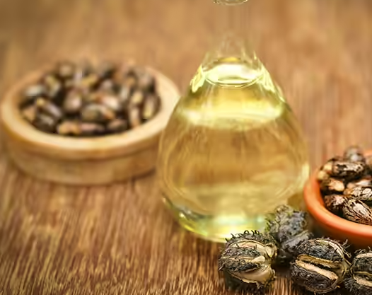 زيت الخروع زيت الخروع