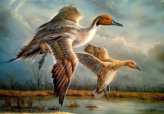 الرسم على القماش بألوان الزيت