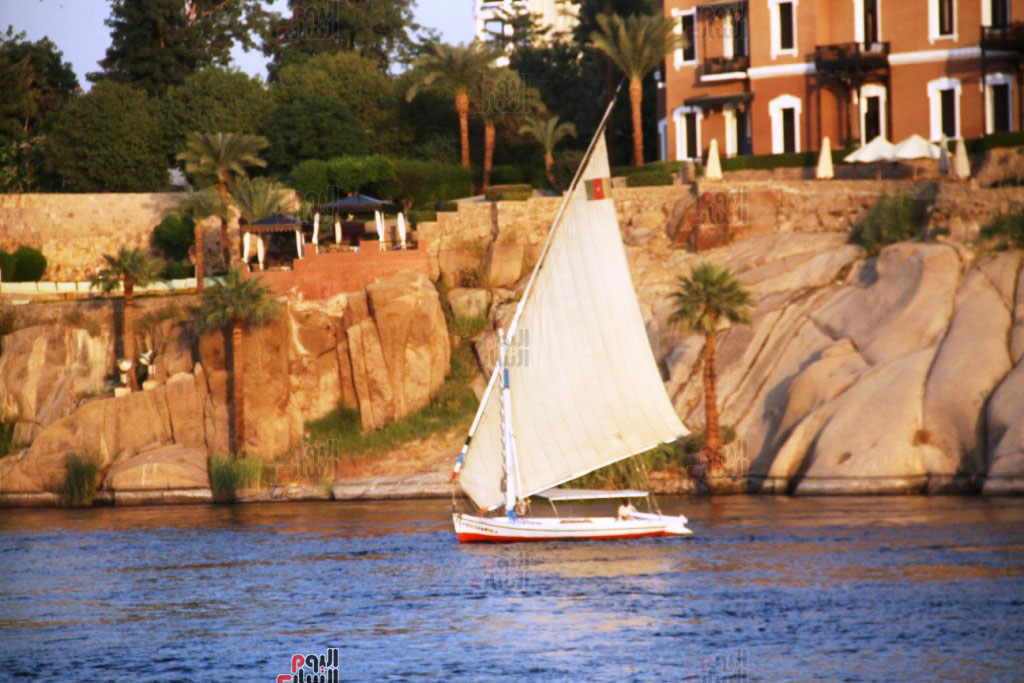 مركب-شراعى-فى-النيل