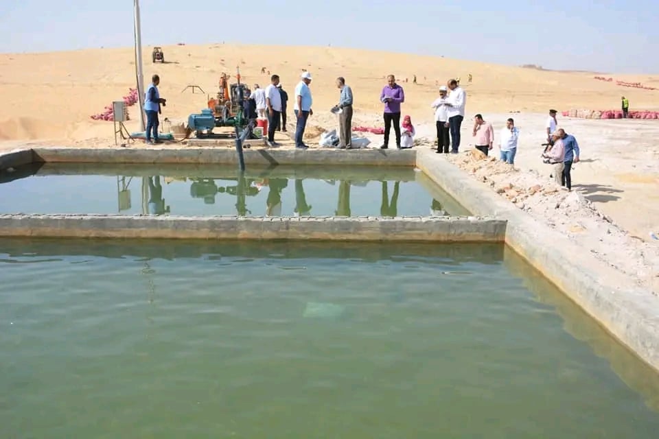 الوادى الجديد تحيل رمال الكثبان المتحركة إلى مروج خضراء ومزارع منتجة (14)