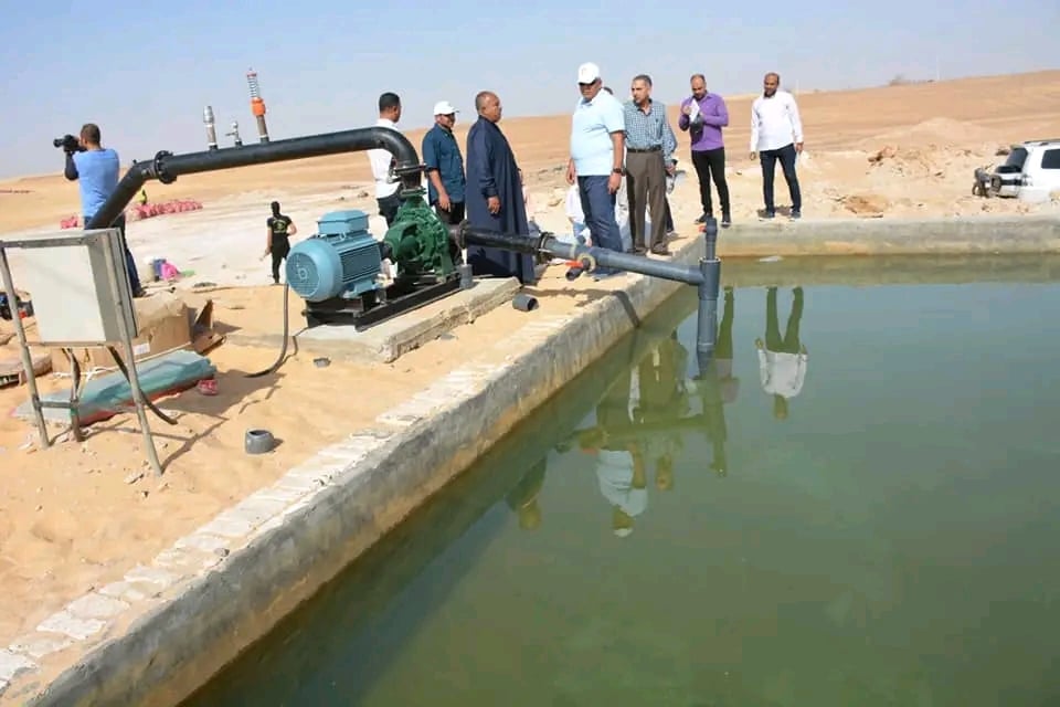 الوادى الجديد تحيل رمال الكثبان المتحركة إلى مروج خضراء ومزارع منتجة (11)