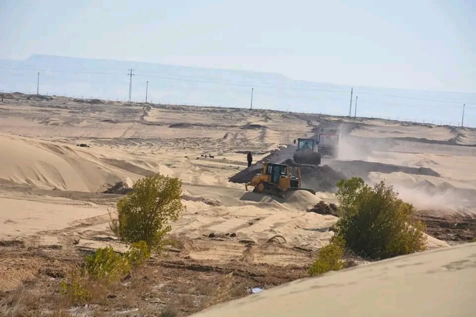 الوادى الجديد تحيل رمال الكثبان المتحركة إلى مروج خضراء ومزارع منتجة (1)