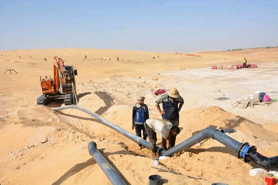 الوادى الجديد تحيل رمال الكثبان المتحركة إلى مروج خضراء ومزارع منتجة (12)