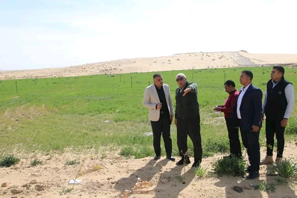 الوادى الجديد تحيل رمال الكثبان المتحركة إلى مروج خضراء ومزارع منتجة (4)