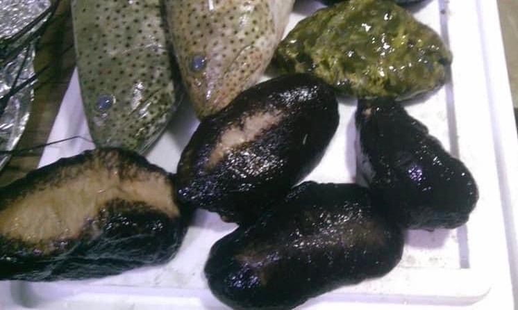 بعض أنواع خيار البح،