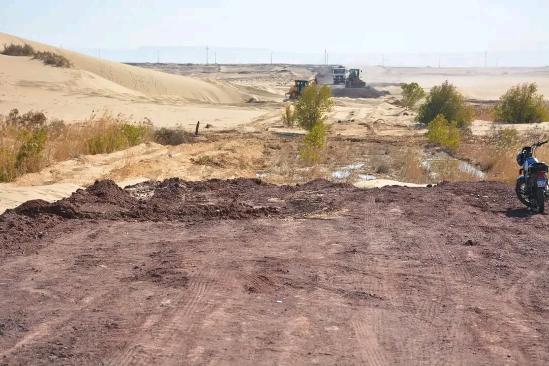 الوادى الجديد تحيل رمال الكثبان المتحركة إلى مروج خضراء ومزارع منتجة (2)