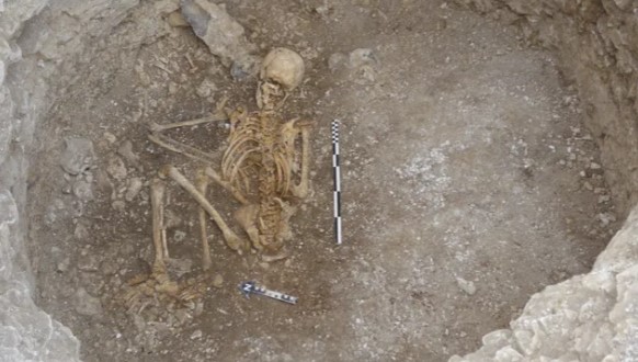 هيكل عظمى مقيد اليدين