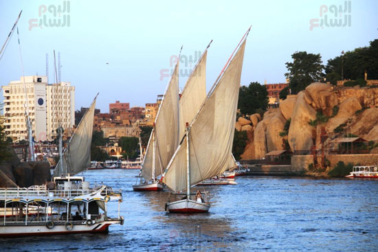 المراكب-الشراعية_1