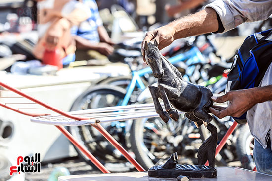 معاينة حصان انتيكة فى السوق