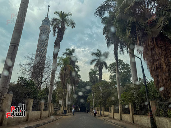 غيوم و امطار خفيفة (28)