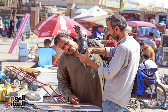 معاينة الخردة (2)