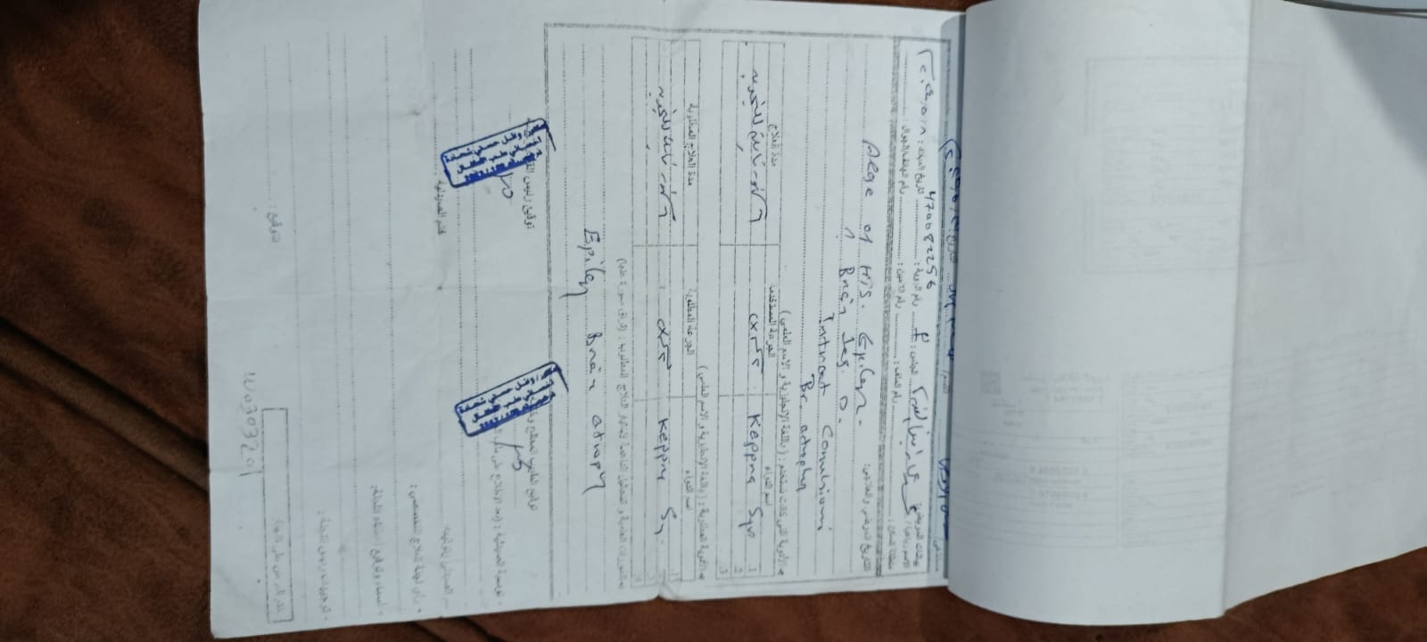 محمد القدرة محمد القدرة