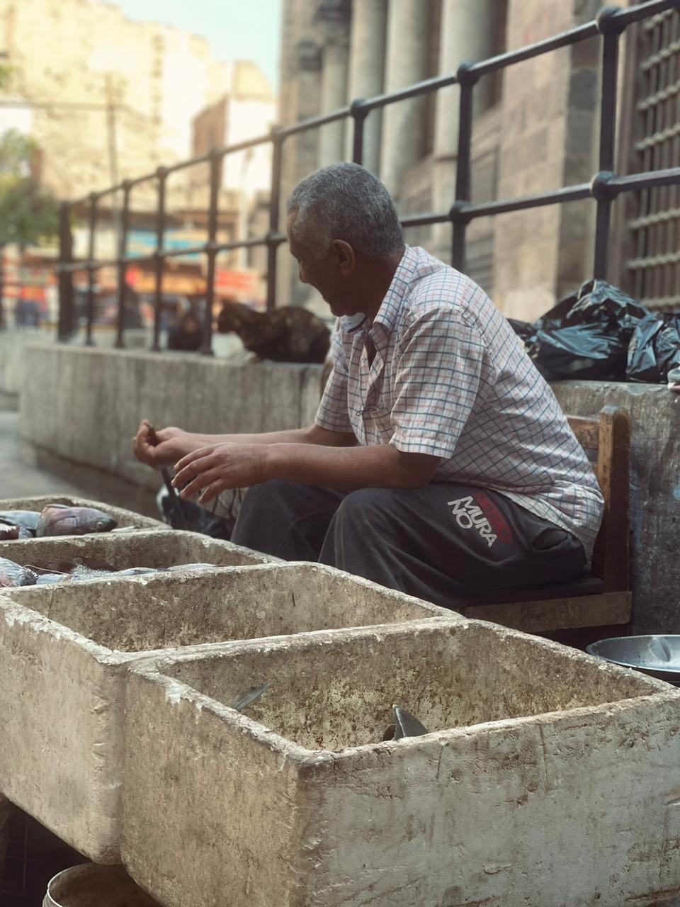 بائع السمك في شارع الخيامية