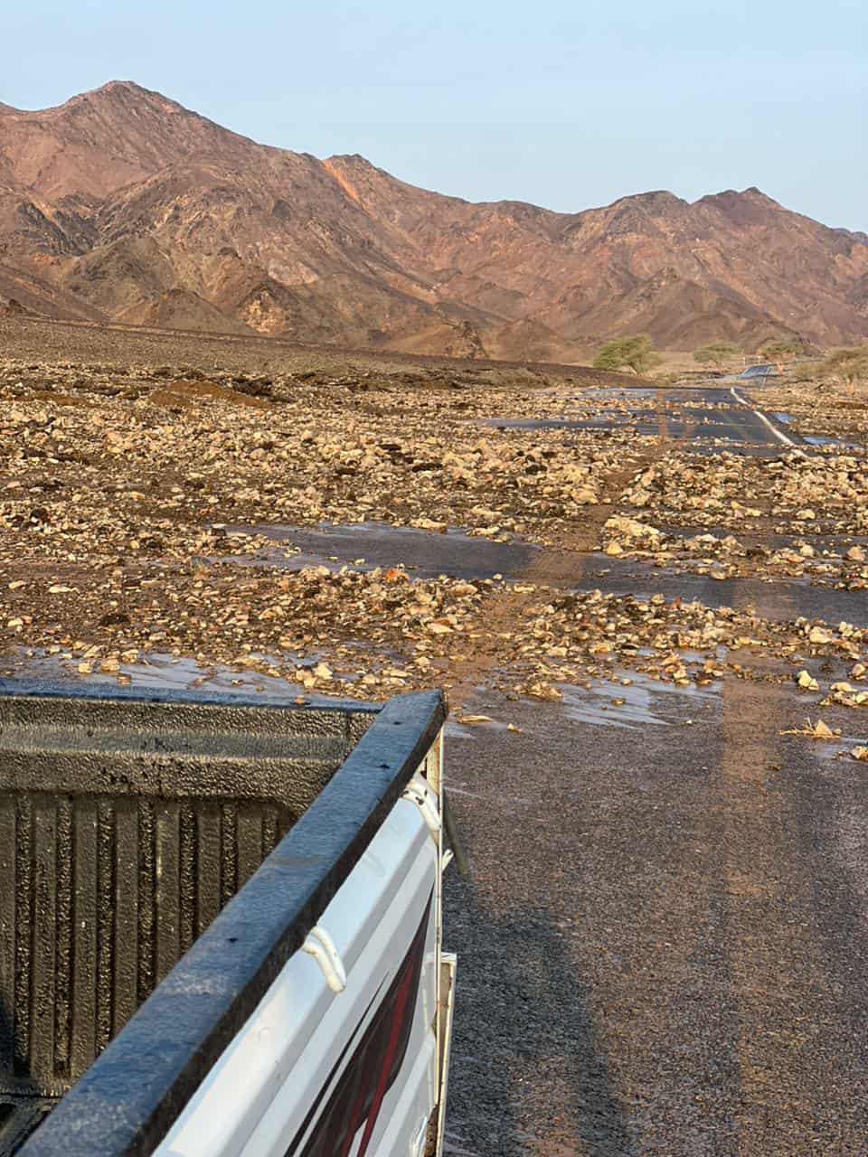 بقايا الأمطار التى يظهر من بعدها العشب بقايا الأمطار التى يظهر من بعدها العشب