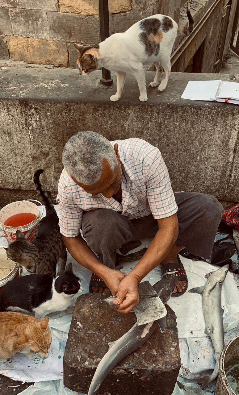 عم كحلاوي أثناء تقطيعه السمك وتنظيفه