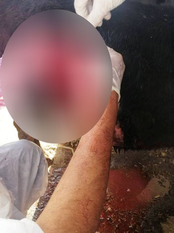 جانب-من-الجراحة