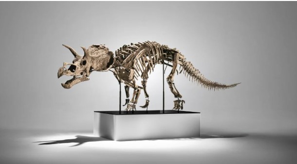 أحفورة ديناصور