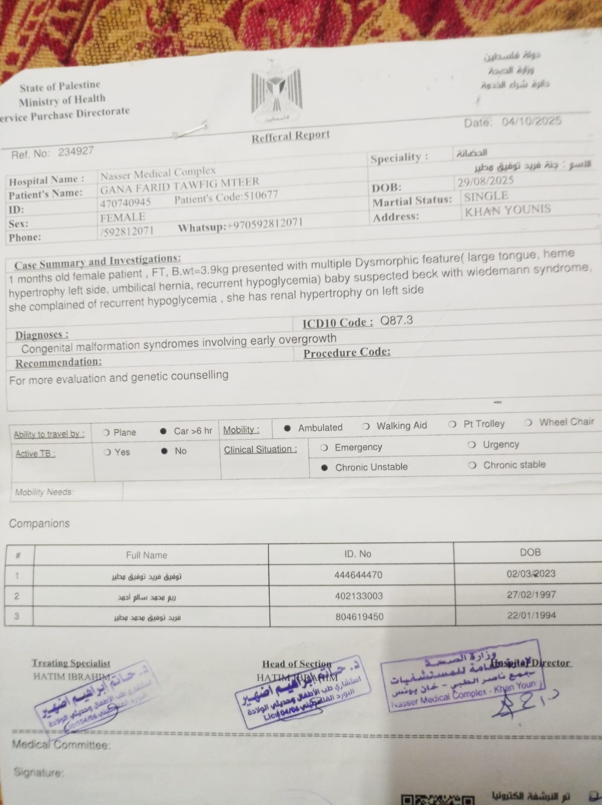 التقرير الطبي للطفلة جنة مطير التقرير الطبي للطفلة جنة مطير