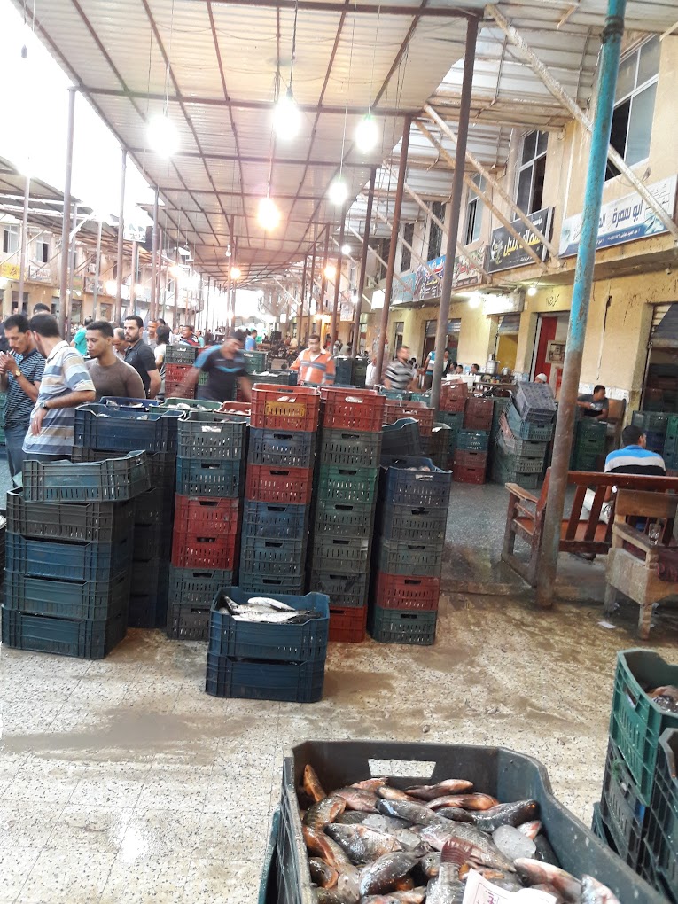 تعدد الاسماك تعدد الاسماك