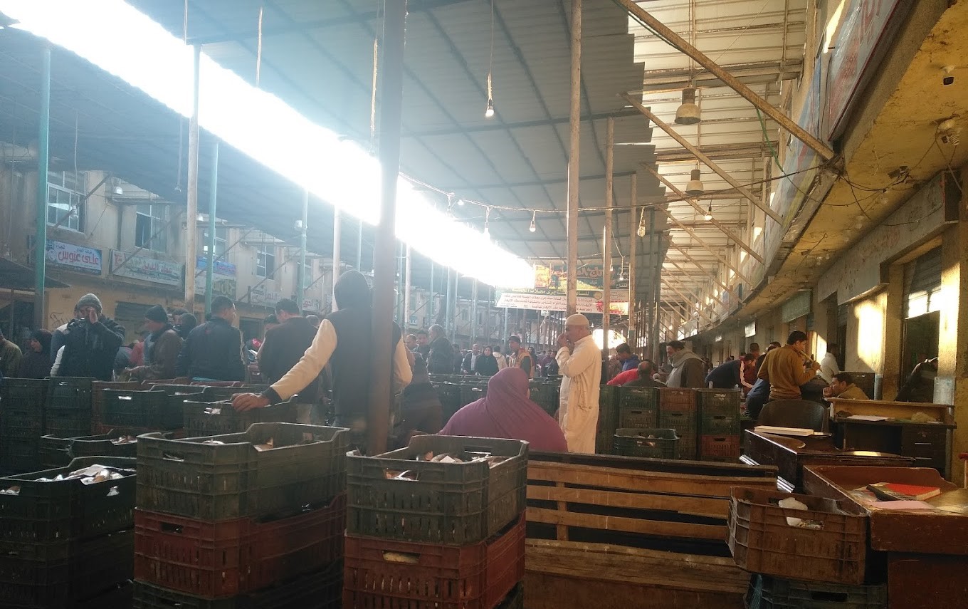 اقبال على شراء الاسماك اقبال على شراء الاسماك