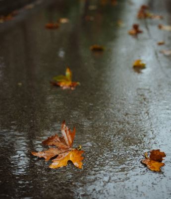 تفسير حلم المطر