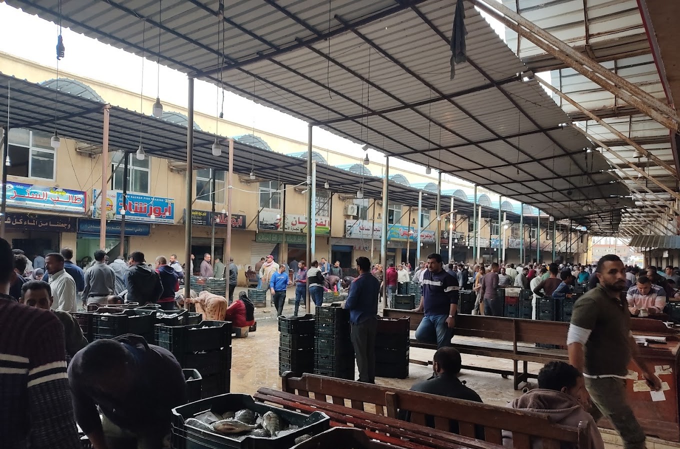 تعددالمحال بالبورصة تعددالمحال بالبورصة