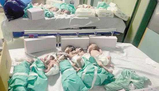 5fdb0da9-2c7f-4fd4-8f62-5c5e9ff36e99