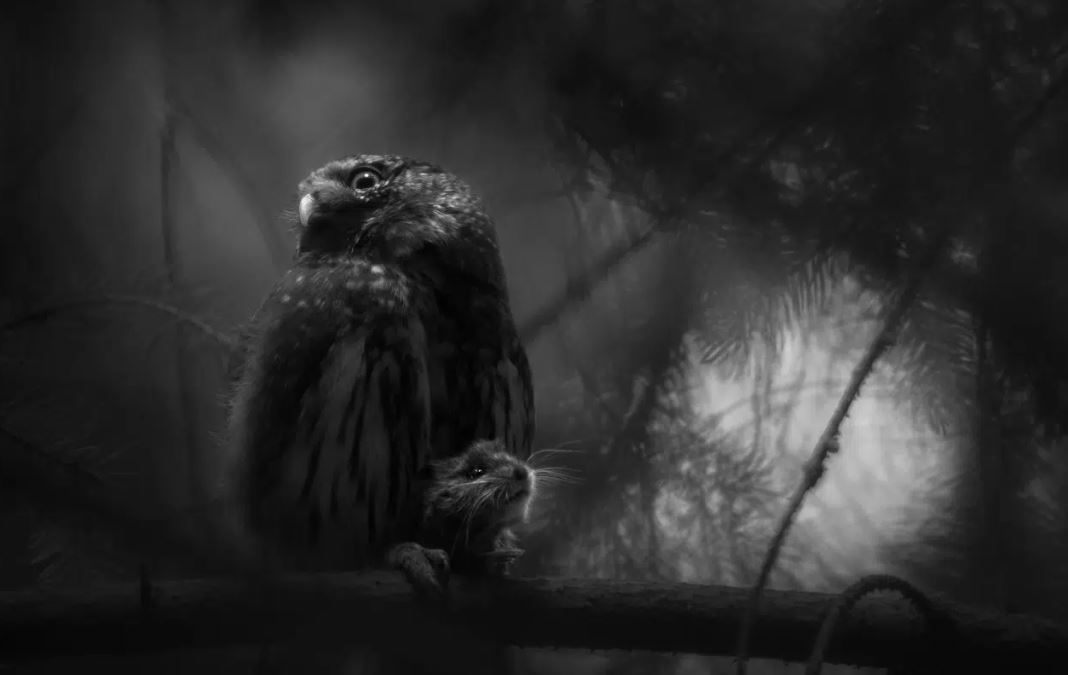 اليأس الصامت