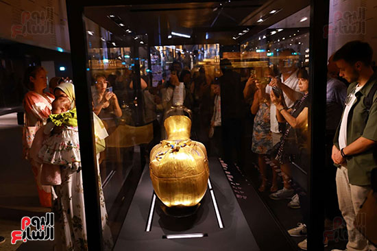 قاعات المتحف قاعات المتحف